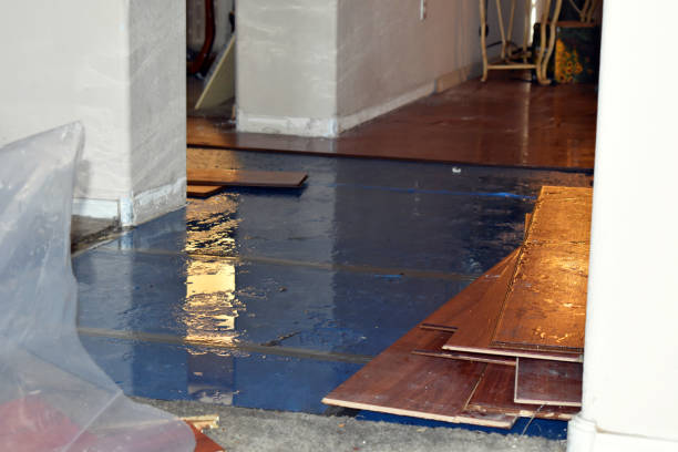 Professional Water Damage Restoration technician working in Irondale, OH